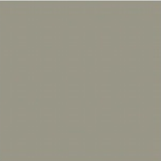 Fixtures-Patience-Plastic-w-o-Arms-Seat-color